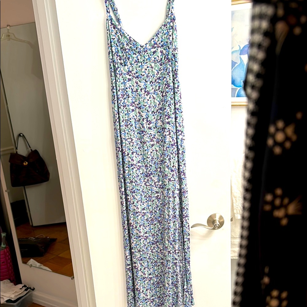 Brand New With Tags Zara Floral Maxi Dress